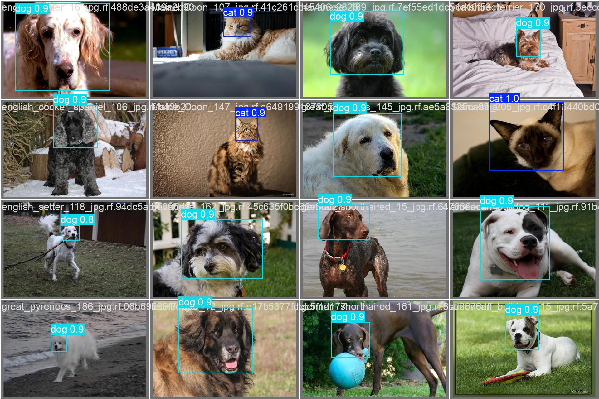 Detections on unseen validation images